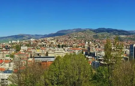 Privileged View Of